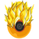 Ứng dụng nghép ảnh Dragon Ball