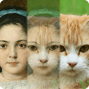 Tải ZooFace ứng dụng người hóa thú cho Android