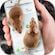 Tải Mouse on Screen – Chuột chạy trên màn hình