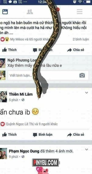 tai snake on screen