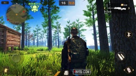 tai Law of the Jungle