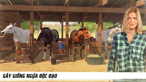Rival Stars Horse Racing nuôi ngựa