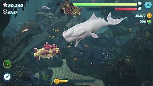 Hungry Shark Evolution MOD nhiều tiền