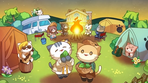 Cat Forest Rừng mèo Chuyện Cắm Trại