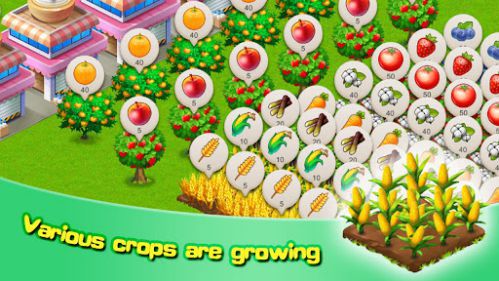 Sim Farm tiêu thụ nông sản