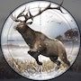 Deer Hunt 2: Hunting Season (MOD Unlimited Ammo, 1 hit)
