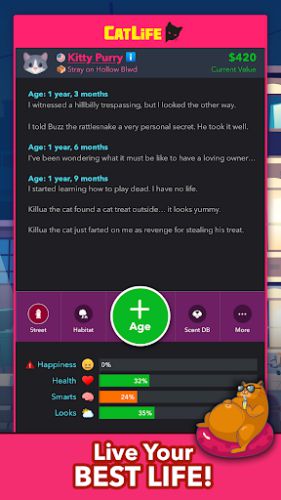 BitLife Cats - CatLife gamehayvl
