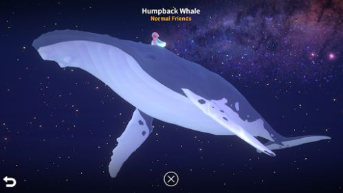 Ocean -The place in your heart cưỡi cá voi