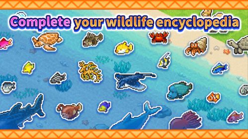 Tropical Resort Story khám phá đại dương