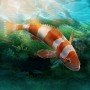 Aquarium Designer (MOD Vô Hạn Tiền)