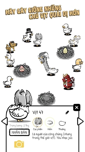 Clusterduck MOD vô hạn tiền