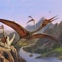 Quetzalcoatlus Simulator (MOD Menu, Money, Skills, Money)