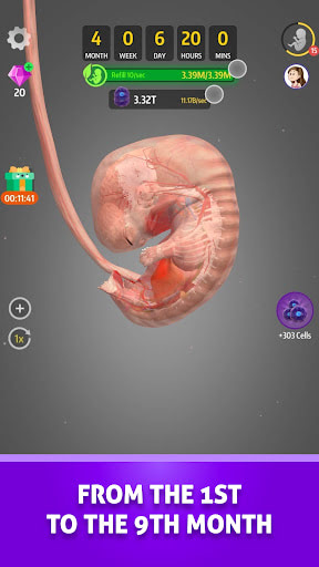 Idle 9 Months GAMEHAYVL